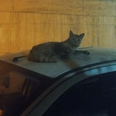 RXRedington's profile picture. ریموند رینگتون سابق