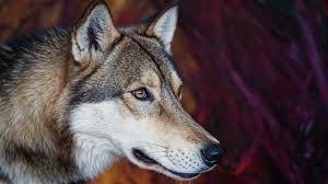 RBPika23rP's profile picture. 株式市場を簡潔に分析し、安定した成長を目指すための投資チャンスをシンプルにお伝えします。