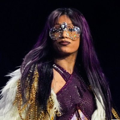 revengetourss's profile picture. women’s wrestling lover | #FreePalestine | fan account