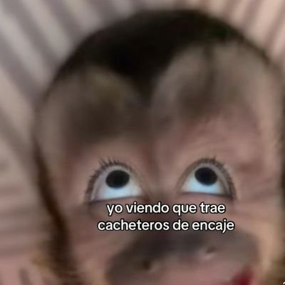 AlexisReye85032's profile picture. 