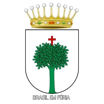 brasilemfuria's profile picture. Monarquista - Realpolitik - Pragmatismo - Catolicismo - Nacionalismo - Animes e Cultura Pop - Anti-Misândrico.
