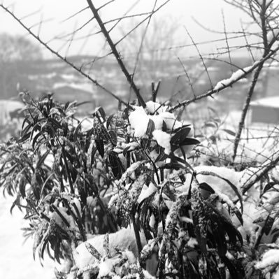 Burak738014's profile picture. 