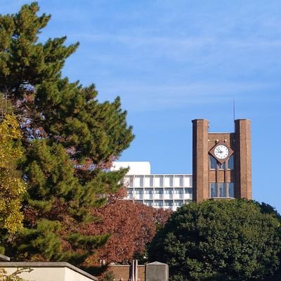 rakuia_mashigra's profile picture. 前垢ロック、
しばらくこっちにいます。   
前垢↓
@masshigra3