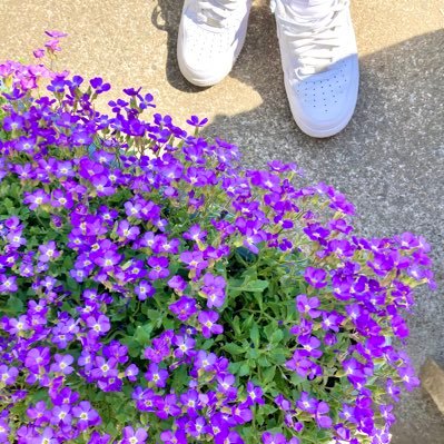 poco_1026's profile picture. 8歳女の子の𝚖𝚊𝚖𝚊 👧🏻👨🏻👩🏻🐶 (ミニシュナ)4人家族𖠿 マイペースに日常と好きな事を楽しんでます✍🏼 🔖 🎧⌇𝚌𝚘𝚜𝚖𝚎🪞⌇美容 🕯️⌇仕事💻 ⌇料理𓎩𓌉𓇋 ⌇旅行 ✈︎ ⌇観葉植物🪴⌇読書 📖⌇ゲーム🎮 ⌇インテリア🛋️