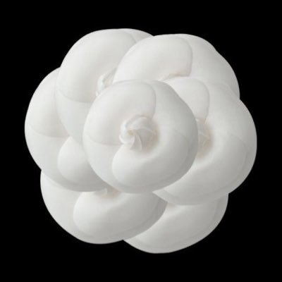 Cha_ne_llll's profile picture. 