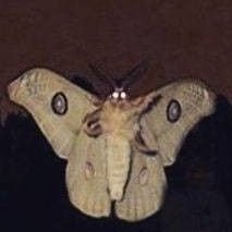 Jockpol0wer's profile picture. 20 años|he🏳️‍⚧️|no menores!|VA
#CuidaremosdeTiNV #insomnioNV creador🦇| SWEET BLOOD STUDIOS 🍷
artista mexicano!