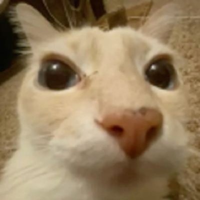 kqiddy's profile picture. 