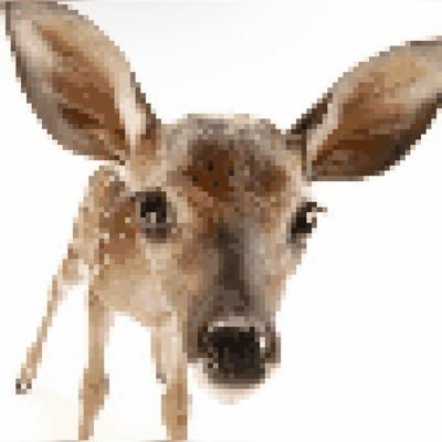 yurilover76's profile picture. #winnerslovewinning