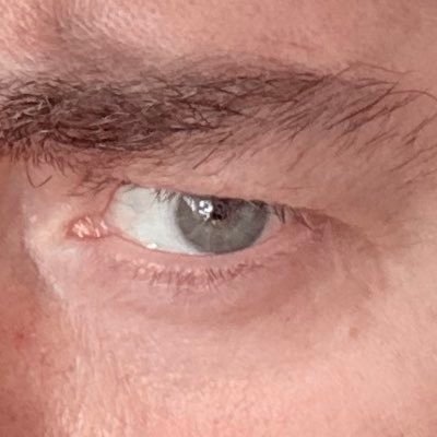 aust26419's profile picture. Restarting again