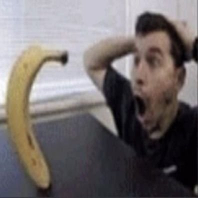 hannigrameus's profile picture. will grahavido
sou fa de RAMUDINHAVERSO e HARYIA #1