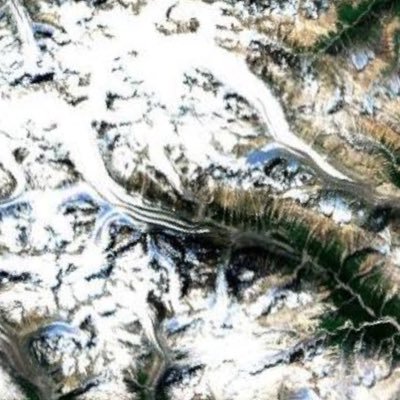 WildJameson93's profile picture. Moderate. INTJ. “I walk around like everything is fine, but deep down, inside my shoe, my sock is sliding off.”