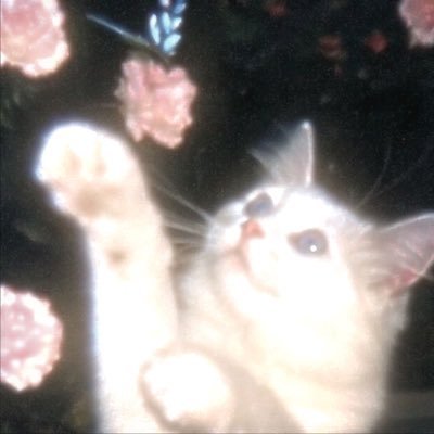 49ug71's profile picture. 誰か私のネガティブ思考をとめてください