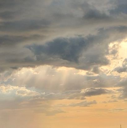 AppolMoikey's profile picture. 