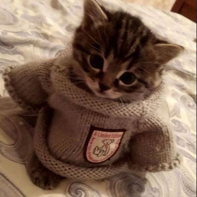 0liviaolive's profile picture. 