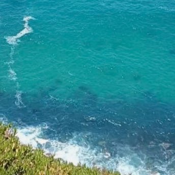 Belquas's profile picture. ….