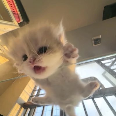 lovebite002's profile picture. 💜 game HIPHOP