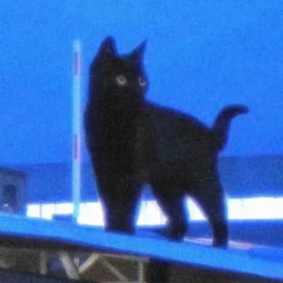 4O4s0pbsqJ49290's profile picture. 