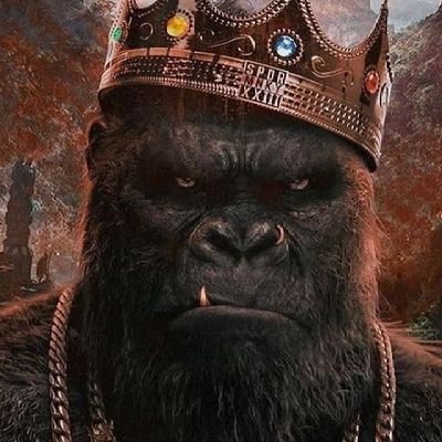 MMan617's profile picture. 