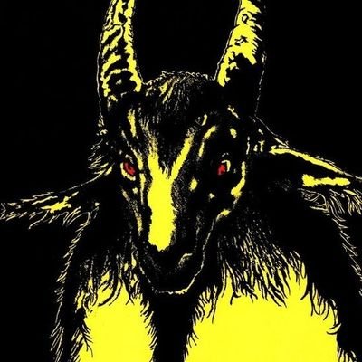 chopped1nhalf's profile picture. black metal/grind/nwobhm
•22