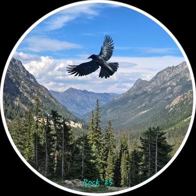 ArtbyRock's profile picture. ☘️Art & Nature Rocks! 🍁 Stay Wild & Free! 🇨🇦 🇺🇲 Painter of Animals 🐘 Where tf did Common Sense go 🤔