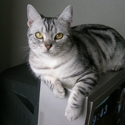 gv1G10wFXa78603's profile picture. 