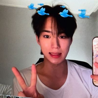 ald1puppy's profile picture. one destiny drive to the top