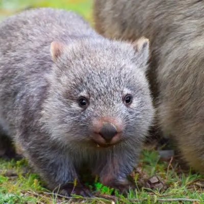 ruthapur23535's profile picture. 