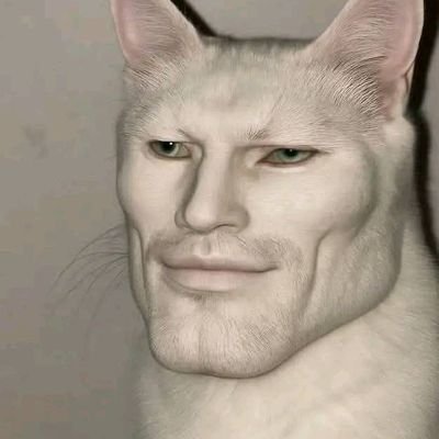 houvehipocrisia's profile picture. Todo mundo é hipócrita aqui, até eu.