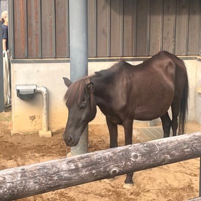 oikomiryo's profile picture. 無言フォロー失礼します。 フォロバします！(遅くなるかもしれません)愛知から京都に来た大学生 タメ語歓迎  ダノンデサイル