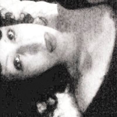 bjorkitos's profile picture. 