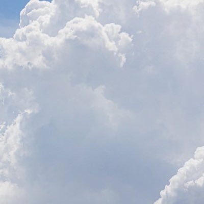 donranran's profile picture. 🕳