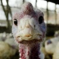 RobertGehrke's profile picture. Journalist for @sltrib. My tweets reflect my views, not those of my employer.