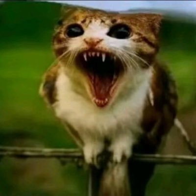 su6human's profile picture. be crime do gay | they/she | back hurts years young | yelling at clouds arc | banner is art by @anniechromes