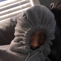 BitchIGetItIn (@petey_popoff) 's Twitter Profile Photo