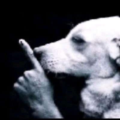 luis_jorge8372's profile picture. 