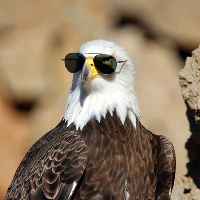 EagleEyeHumor's profile picture. Discover the incredible, the weird, the funny, and the wonderful 🌍