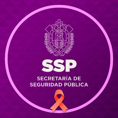 SP_Veracruz's profile picture. Cuenta oficial de la Secretaría de Seguridad Pública del Estado de Veracruz. ¡Ante cualquier emergencia comunícate al 9-1-1! ☎️🚔👮‍♂️👮‍♀️