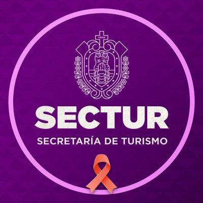 SECTUR_Veracruz's profile picture. Cuenta institucional de la Secretaría de Turismo de Veracruz.