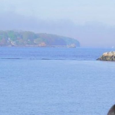 yeahyeahx_'s profile picture. 