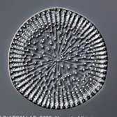 acidophilusEG's profile picture. college freshman.
post-rationalist, deleuzian.
aspiring polymath.
nous-aligned, resonance-blind, phase-declined.

i am not you, yet.