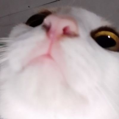 ayni_DC's profile picture. 