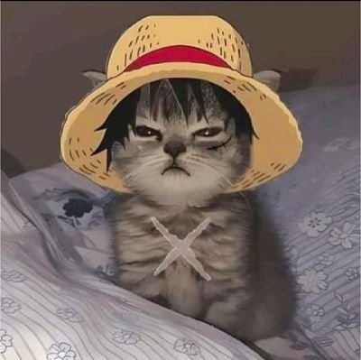 Harlinsaima's profile picture. gaming 🎮🕹️ Natute 💚☘️🥦🌲
NFTs Crypto Btc 💫💫💫
web3 Cryptogirl 💞