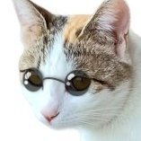 epipuMH's profile picture. (LOVEBITES視聴特化用ぬこ型決戦兵器兼)IT社畜だよ！
LOVEBITES(激しくはるぴー)推し！
趣味で推し活しているよ！
Discord非公式LOVEBITESファンベースJAPANもよろしくね！
→https://t.co/oWBMHxb7Vi
MBTI→INFJ-A
Socionics→SLI-D