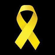 AS8519069463534's profile picture. 