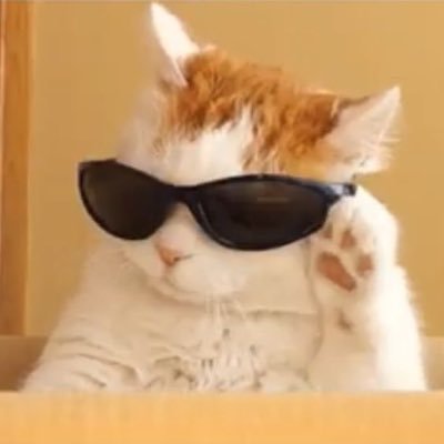 7___of___51's profile picture. 