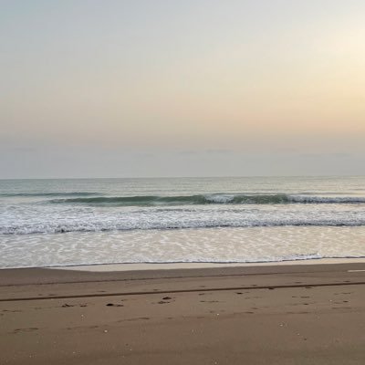 Mohannad1721309's profile picture. 