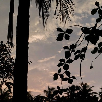 hiiamshrin's profile picture. Bachpan me lagta tha 3 ediots ka farhan kon hai ? Real life me esa kisiko dekhi nhi... Ab pta chal raha, mai hi wo hu :)