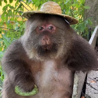 balti_offi's profile picture. 