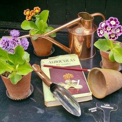 darrenlakin2's profile picture. gardener, husband, father, grandfather, friend, maker, recycler, upcycler, creater & lover of all things vintage garden.
Dreams of a walled garden someday...