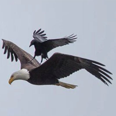 seelen_r's profile picture. Loves life, reads, has a strong preference for books on history, economics & philosophy, enjoys golf and traveling.